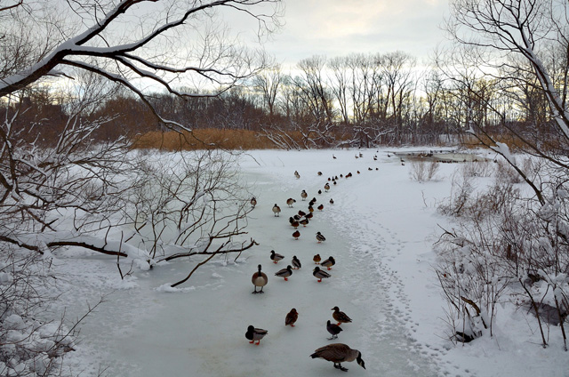 Van Cortlandt Park Van Cortlandt Park